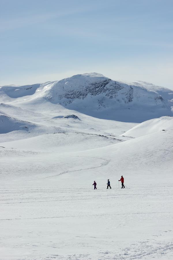 Bygdin Hoyfjellshotell Beitostolen Bagian luar foto