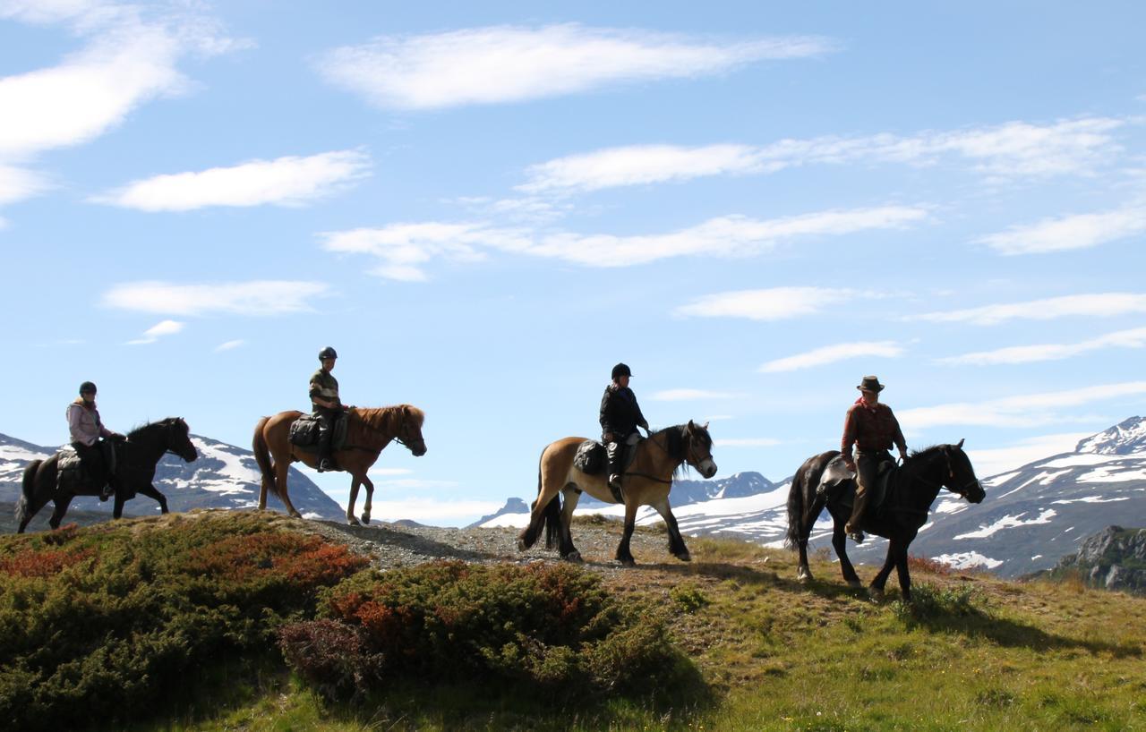 Bygdin Hoyfjellshotell Beitostolen Bagian luar foto