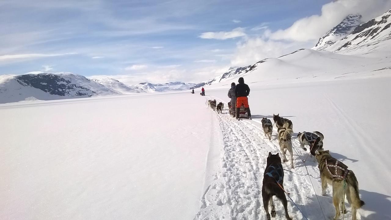 Bygdin Hoyfjellshotell Beitostolen Bagian luar foto